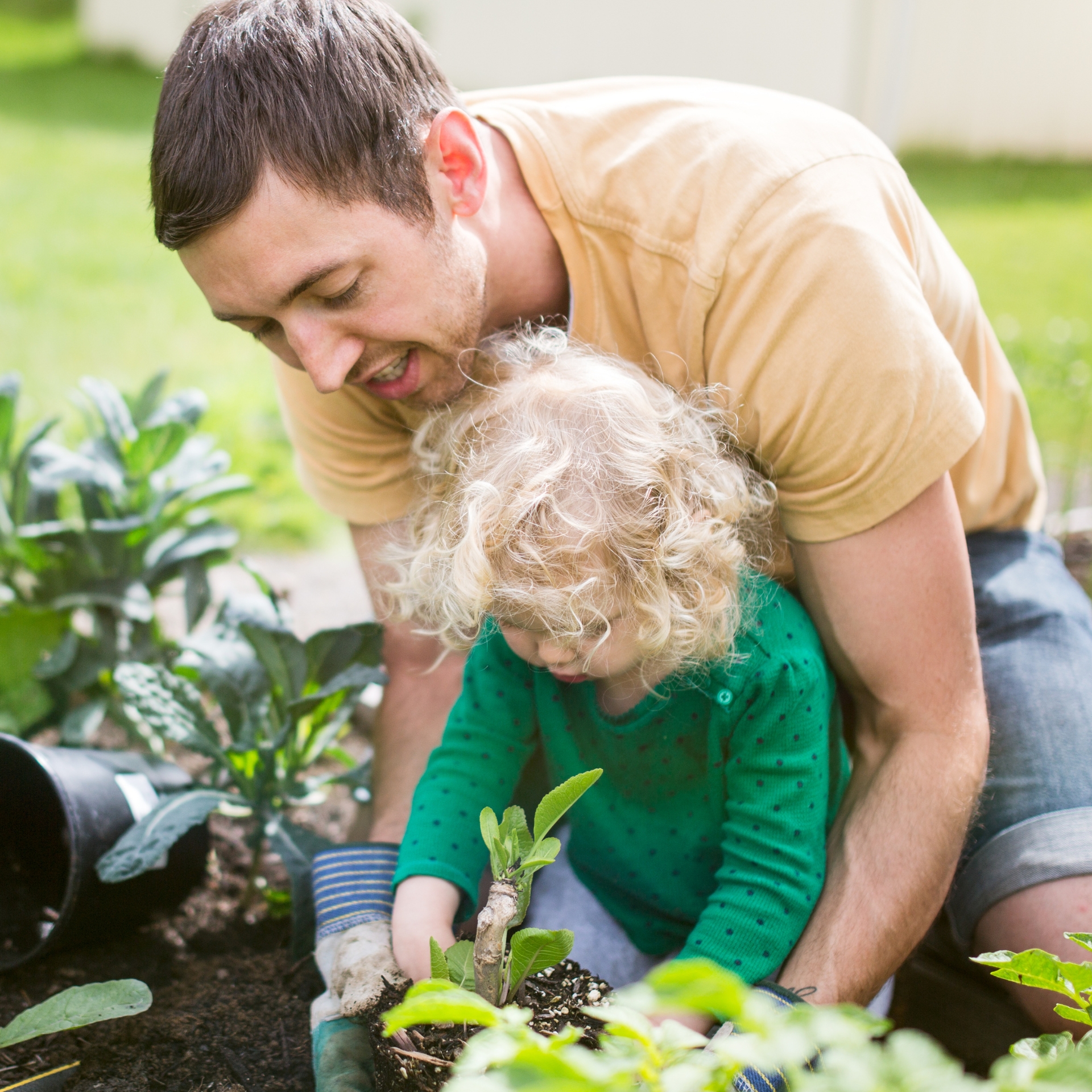 8 nützliche Garten-Tipps: So bereitest du deine Pflanzen für Trockenheit vor 